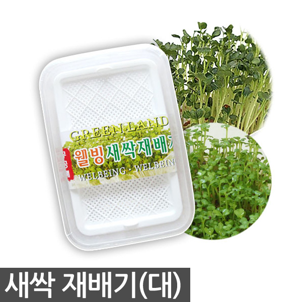  초대박상품 새싹재배기 소형  새싹 재배기 세트 새싹씨앗 21종 새싹 보리 브로콜리 케일 청경채 보리씨앗 보리새싹씨앗 새싹보리 보리씨 새싹씨앗보리 23 확인하고 결정하세요!