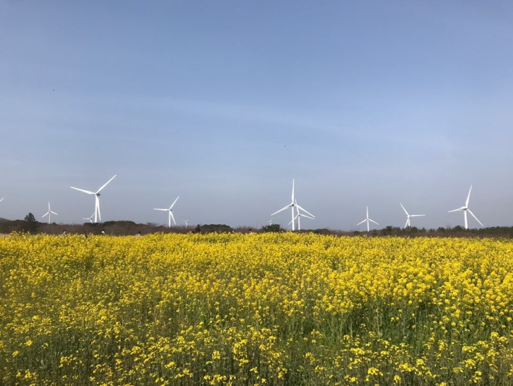 다시 읽은 부동산 투자 베스트셀러 - 나는 부동산과 맞벌이한다, 마흔살 행복한 부자아빠 다시 읽은 부동산 투자 베스트셀러 - 나는 부동산과 맞벌이한다, 마흔살 행복한 부자아빠