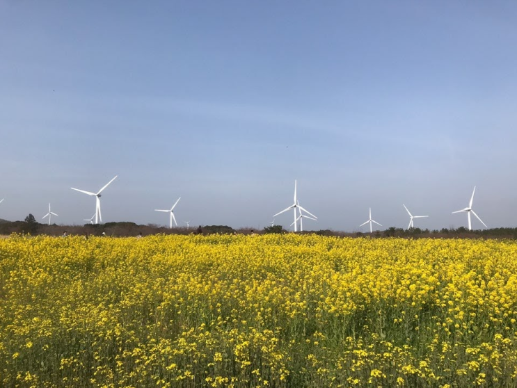 다시 읽은 부동산 투자 베스트셀러 - 나는 부동산과 맞벌이한다, 마흔살 행복한 부자아빠