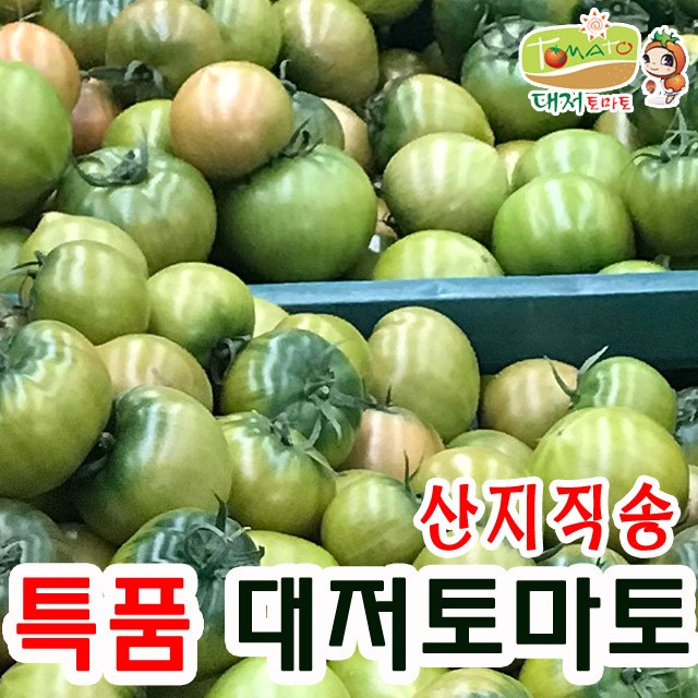  [찬스] 주리 대저 토마토, 1박스, 최상품 대저토마토 5~7번과 2.5kg 특템해요! 