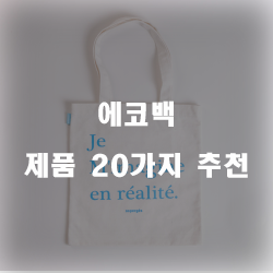  2020년 후회없는 선택의 에코백 제품 20가지 순위 추천 리스트 입니다.