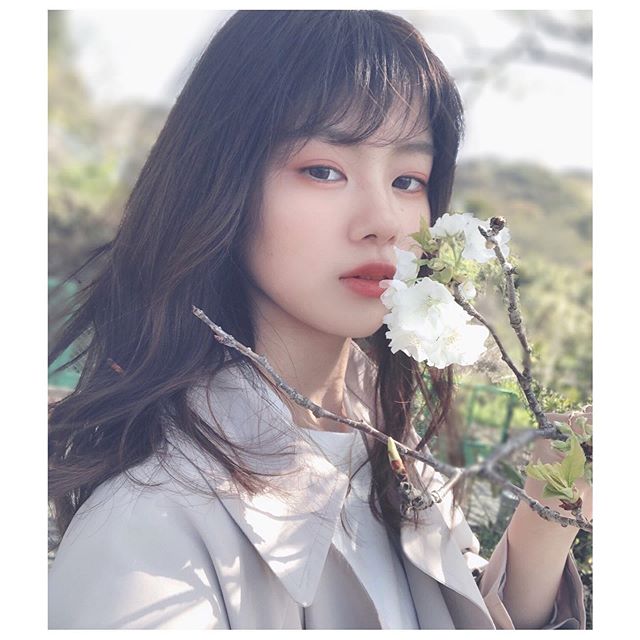  [03/31]槌田さくら[츠치다 사쿠라, Sakura Tsuchida] 봄 사진(1)(벚꽃)