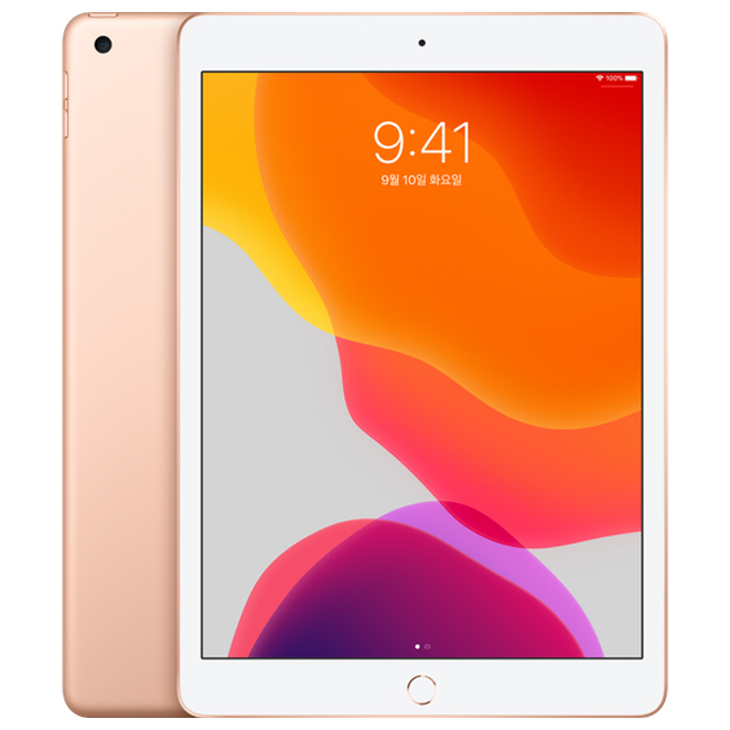  Apple 2019년 아이패드 102 7세대 WiFi 128GB Gold MW792KHA
