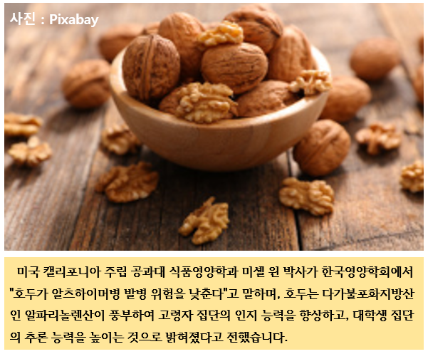  호두 효능 꾸준한 섭취로 건강한 노화를