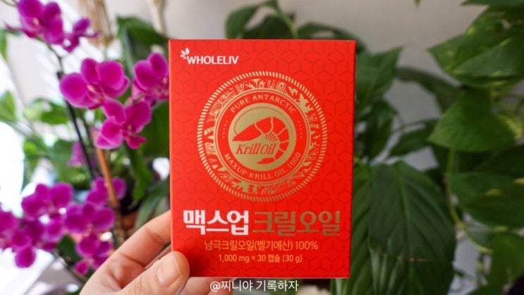  크릴오일 추천, 어버이날 선물로 < 홀리브 맥스업 크릴오일 >