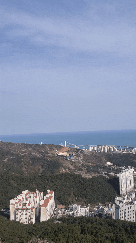  코로나19로 인해 많아진 시간 활용하기 부산산책하기 좋은곳 전포돌산공원 벚꽃은 덤