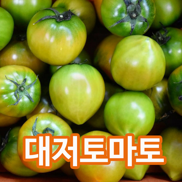  [찬스] 대저짭짤이토마토 산지직송 제철과일 아삭하고 새콤 짭짤한 대저토마토, 1box, 5-6번과-2.5kg 특템해요! 