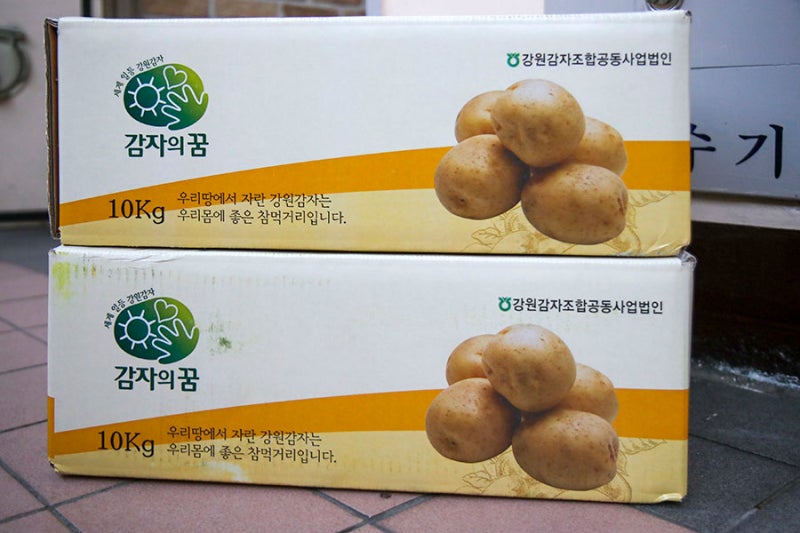 강원도 감자요리/버터구이 감자, 카레, 감자채썰기에 매일 간단하게~ 2