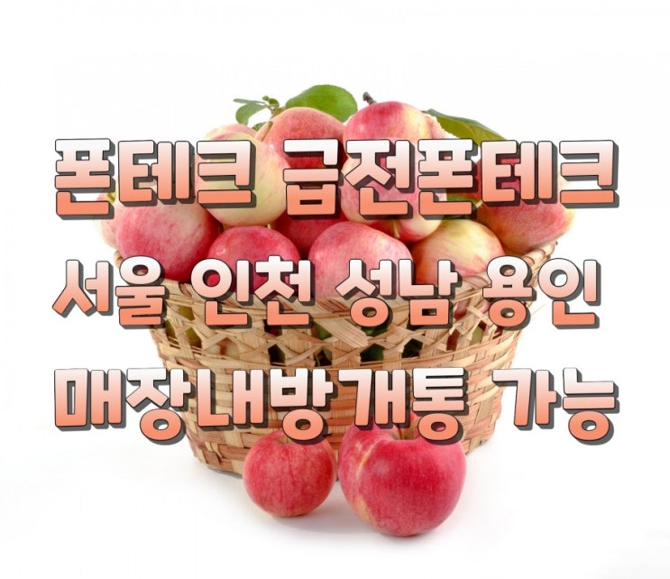 폰테크 급전폰테크  서울 인천 성남 용인 매장내방