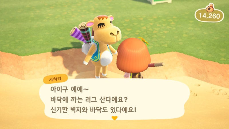 모동숲] 모여봐요 동물의 숲 정보 / 집대출, 도구,가게, 주민, 하루루틴 : 네이버 블로그