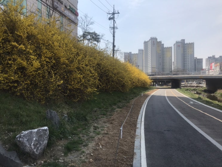 모처럼 출근