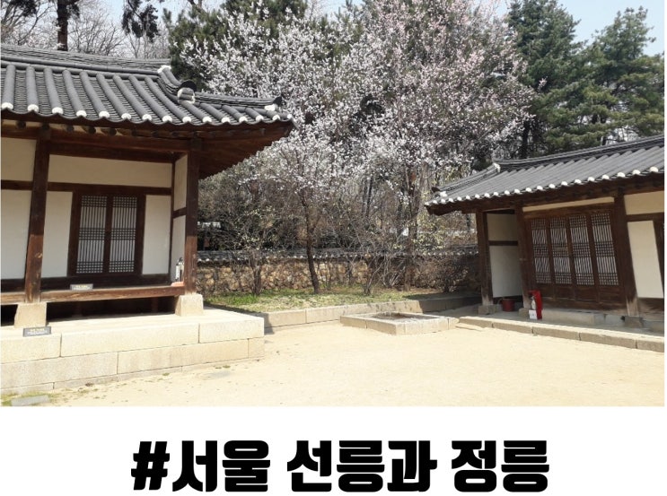 [서울명소]다람쥐도 볼수있는 유네스코 세계 유산 서울 선릉과 정릉