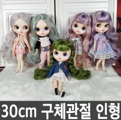  블라이스인형