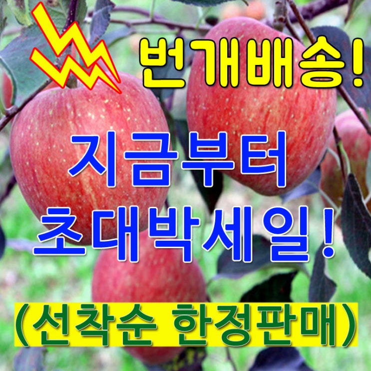 고당도 안동꿀사과 초특가 할인판매행사중 경북 안동꿀사과 1박스 02가정용사과2kg 소과 고당도 안동꿀사과 초특가 할인판매행사중 경북 안동꿀사과 1박스 02가정용사과2kg 소과