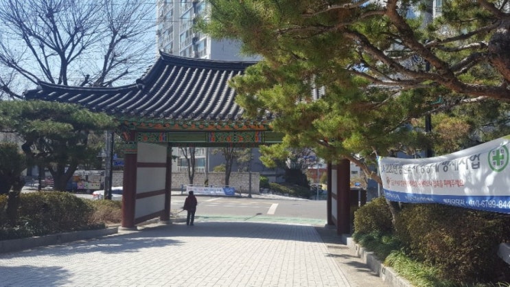 인천 코로나 나들이 장소 조심스레 추천해봅니다. 숨어있는 인천 벚꽃명소 화도진공원  인천 아이와 갈만한곳