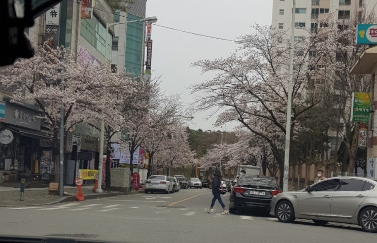 금호지구 수유리우동 해장국물로 최고!금호동 돈까스 쫄면 김밥 분식 추천