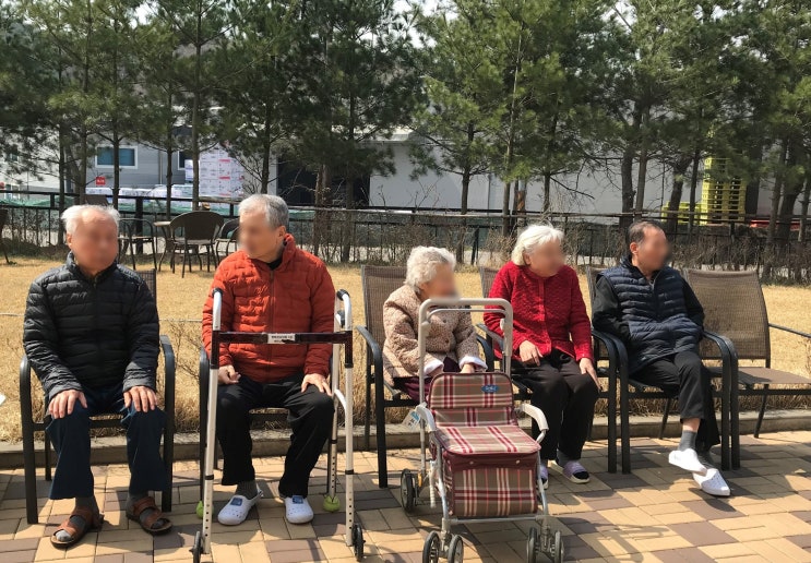  더행복한요양생활 - 햇빛 구경 나들이 야외산책, 쑥뜯기
