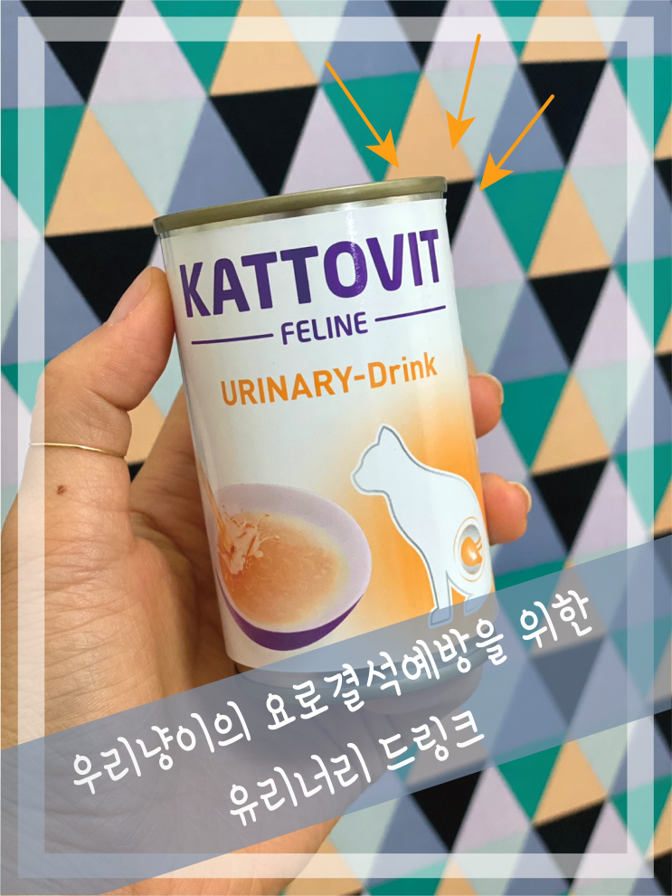  [고양이건강] 냥이의 요로결석 예방을 위한 드링크_내돈내산