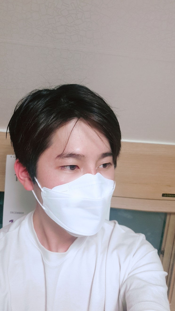  KF80 에버그린 보건용 마스크 대형 리뷰