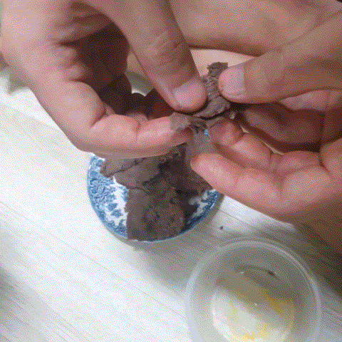  강아지 바베시아 감염 말라론정 약 먹이기
