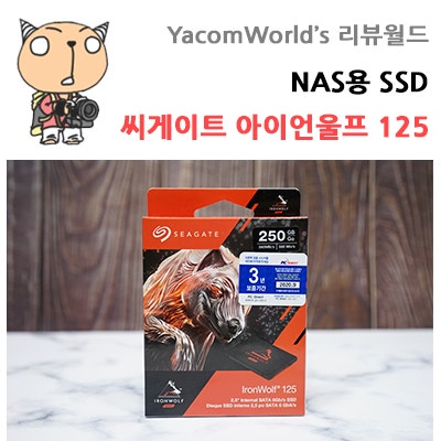 NAS용 SSD 씨게이트 아이언울프 125 나스용으로 좋아요