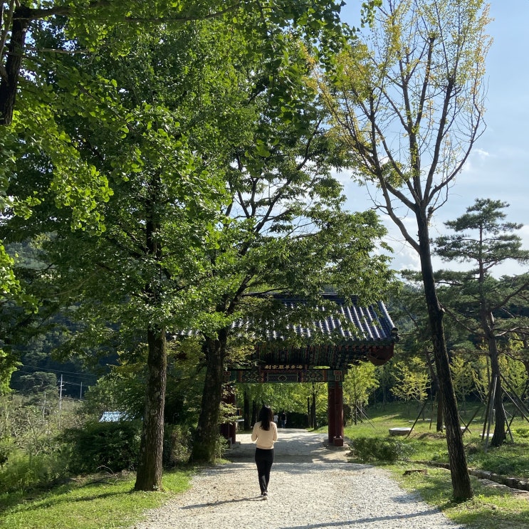  푸르른 초가을 영주여행