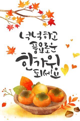  아이와 부산여행 남포동 펫까페 라라랜드 미어캣펫카페 라쿤펫까페 아이와 함께 가기 좋은 곳 부산가족여행코스 여기예요 유아와 1박2일부산여행한다면 펫까페 좋아요