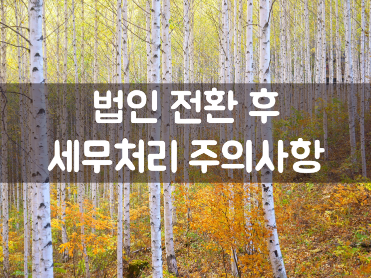  법인 전환 후 세무처리 주의사항