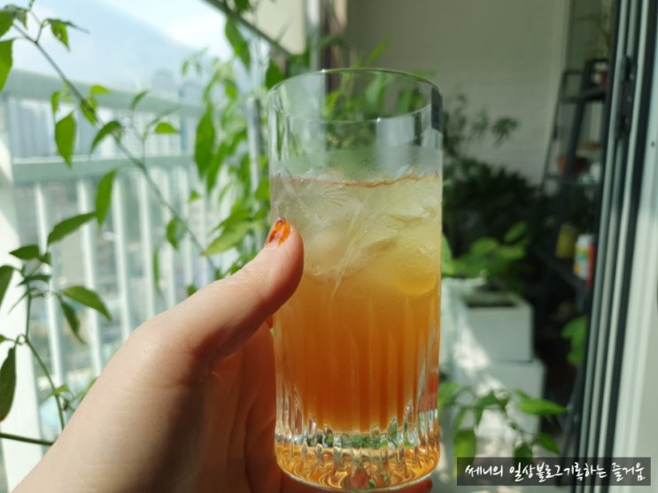  청매실 100일 숙성후 매실 엑기스 완성 얼음동동 상큼 매실차 매실에이드 만들기