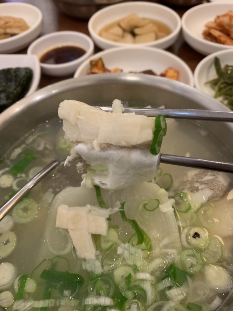  [부산/맛집추천] 부산 롯데백화점 광복점 - 시원한 대구탕(직영1호점) 후기