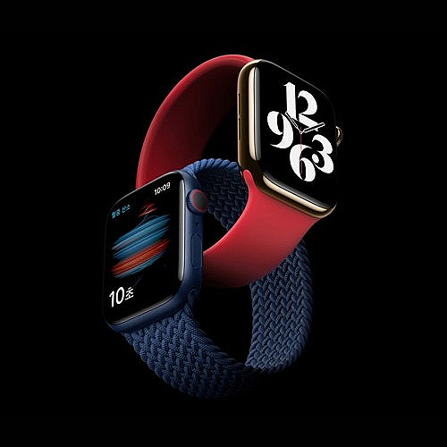 애플워치6 44mm GPS+셀룰러 정보 가격 애플워치6 44mm GPS+셀룰러 정보 가격