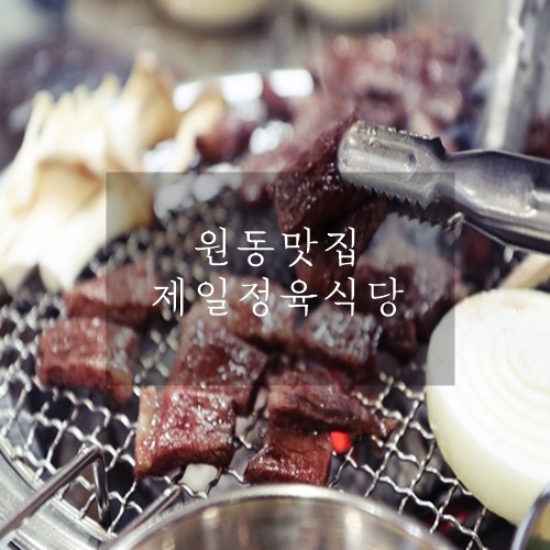  원동 맛집 원동 한우맛집 제일정육식당