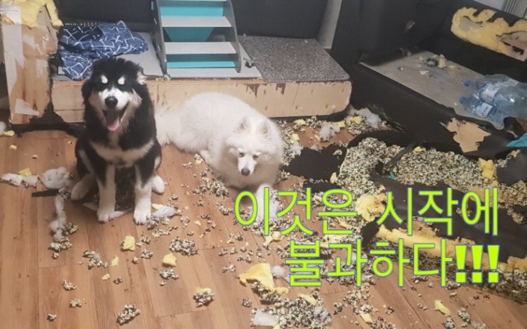 [20201001] 오늘의 증시 - <b>난장판</b>으로 끝난 미대선 TV<b>토론</b>