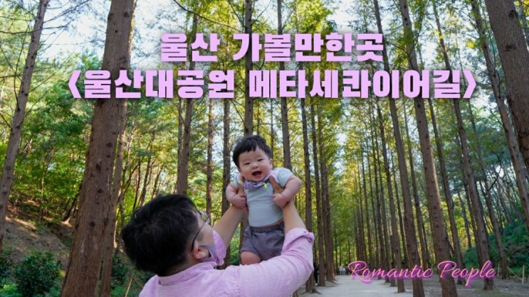 울산 나들이 추천&lt;울산대공원 메타세콰이어길&gt;