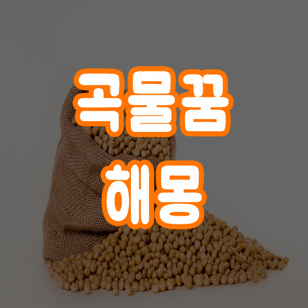  곡물꿈 곡물보는꿈 해몽 알아보기