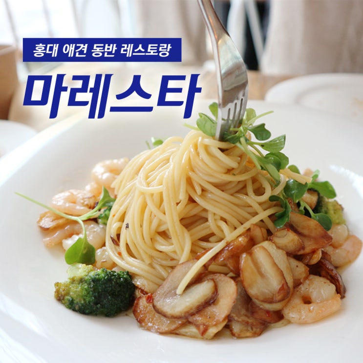 [홍대 맛집] 애견 동반 레스토랑 '마레스타'