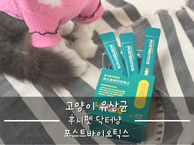 [고양이유산균] 후시펫 닥터냥포스트바이오틱스_고양이면역력,장건강 업!
