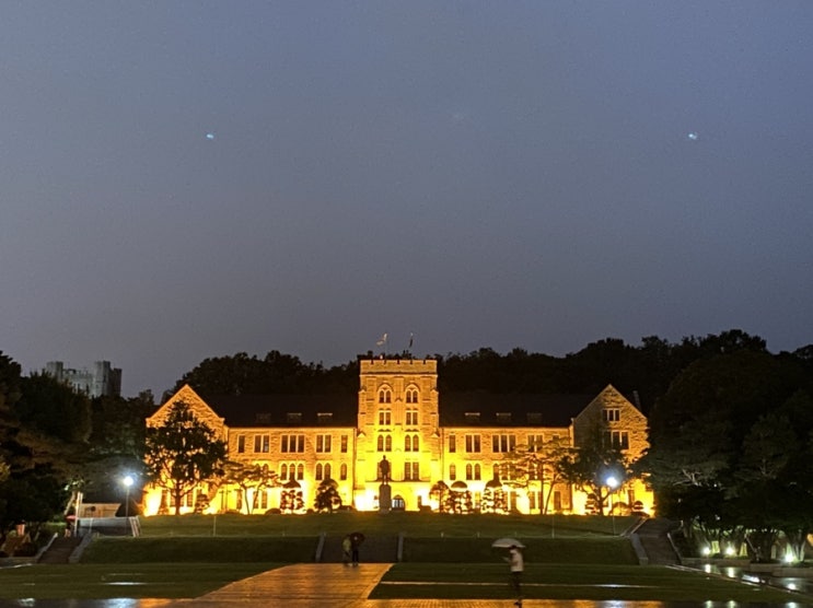  글쓰기 방향에 대한 고민. 그리고..자유