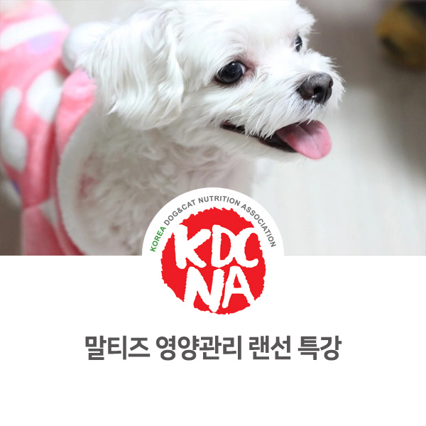  [박은정펫푸드아카데미 반려동물 음식 교육] 말티즈 영양관리 랜선 특강_631