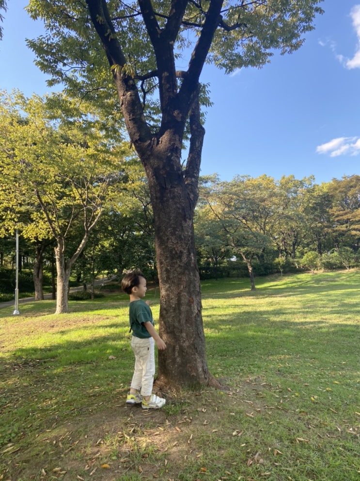  서울에서 아이랑 뛰어놀기 좋은곳(육아일상-용산가족공원)