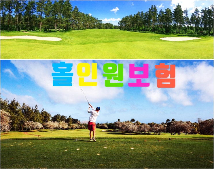 골프보험 홀인원 보험료 비교 가장유리한곳