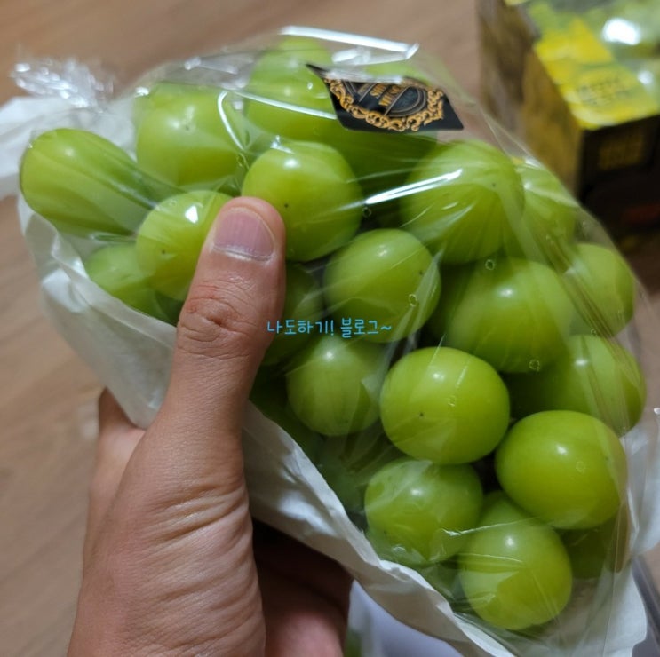 샤인머스켓 비싼이유 고당도 맛과 식감