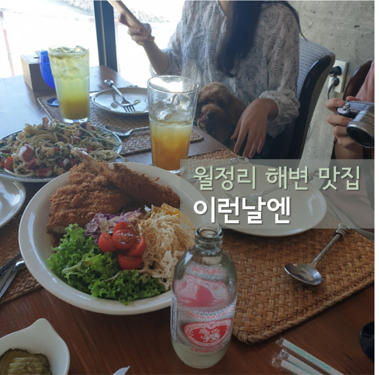  월정리해변맛집 ] 이런날엔 : 애견동반 파스타 구좌읍맛집