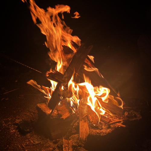  취향대로 먹고 있는 추석 먹방 (함평 키친 205 줄서서 먹는 딸기 케이크, 아빠가 잡은 전어,갈치회)