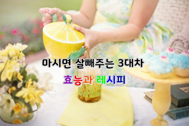 마시면 살빼주는 3대차 효능과 레시피