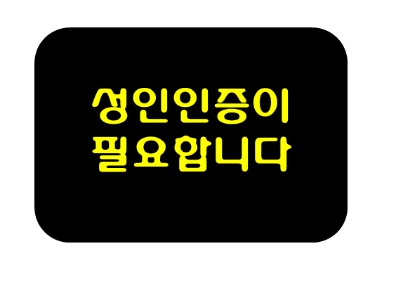  넷플릭스성인인증 핸드폰하나면끝