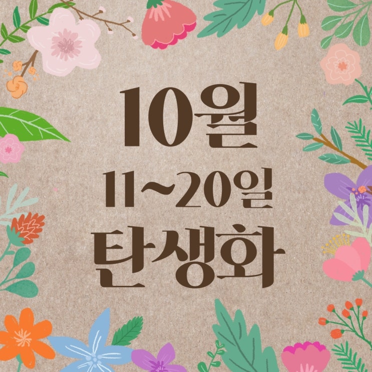  [10월 탄생화 11~20일] 꽃말과 저작권 프리 사진 : 11일, 12일, 13일, 14일, 15일, 16일, 17일, 18일, 19일, 20일