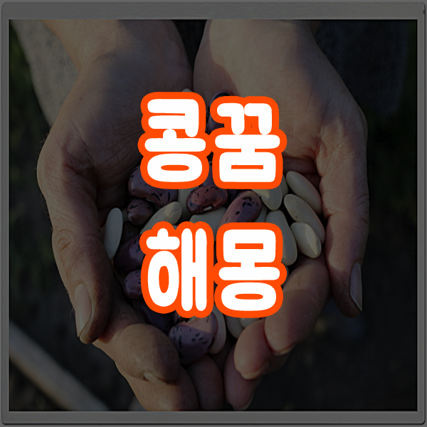  콩꿈 콩먹는꿈 콩보는꿈 해몽 알아보기