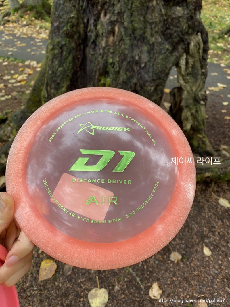알래스카 국제부부 취미 :: 디스크 골프(DISC Golf) in Girdwood, 가을풍경속으로 원반 던지기 : 네이버 블로그, image size:800x1067
