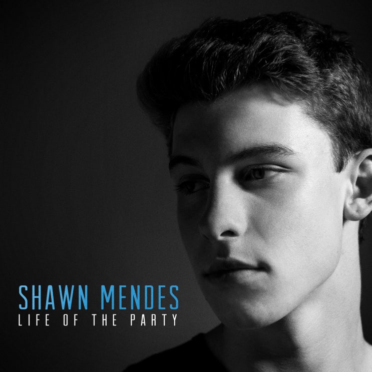 션 멘데스 (Shawn Mendes) - Life of the Party 가사/번역 션 멘데스 (Shawn Mendes) - Life of the Party 가사/번역